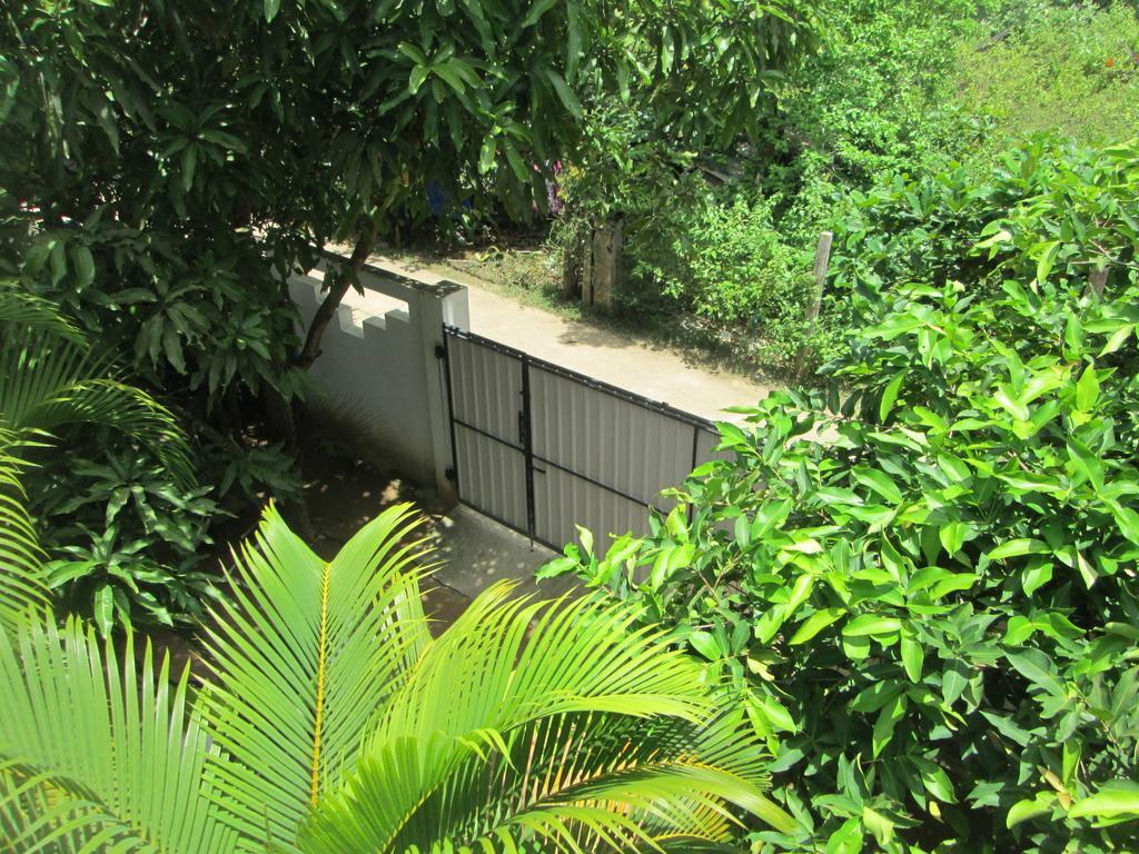 Bay Reach Home Stay Weligama Exteriér fotografie