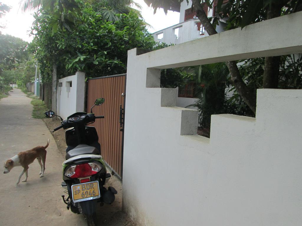 Bay Reach Home Stay Weligama Exteriér fotografie