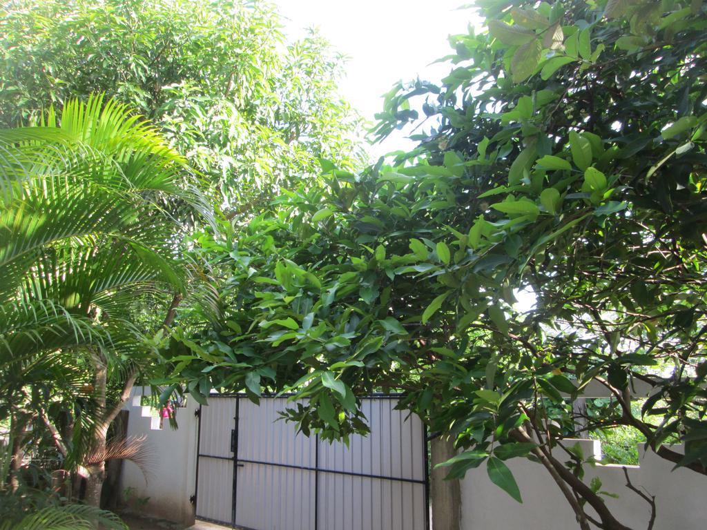 Bay Reach Home Stay Weligama Exteriér fotografie