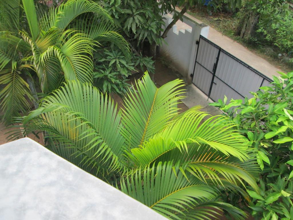 Bay Reach Home Stay Weligama Exteriér fotografie